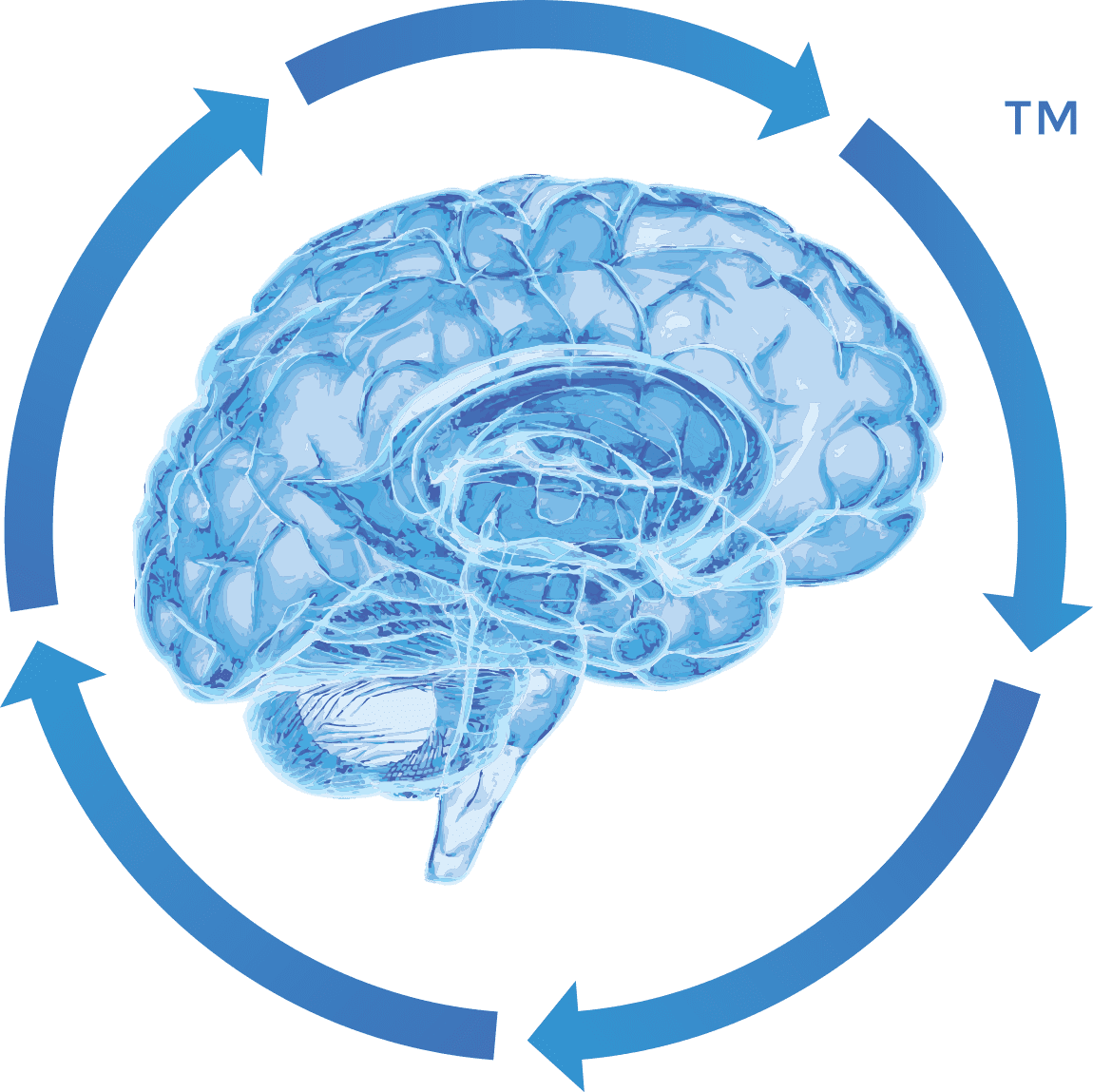 Concussion Baseline Testing Sports Chiropractic Oakville 3