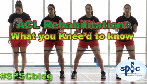 Exercises for ACL Rehabilitation