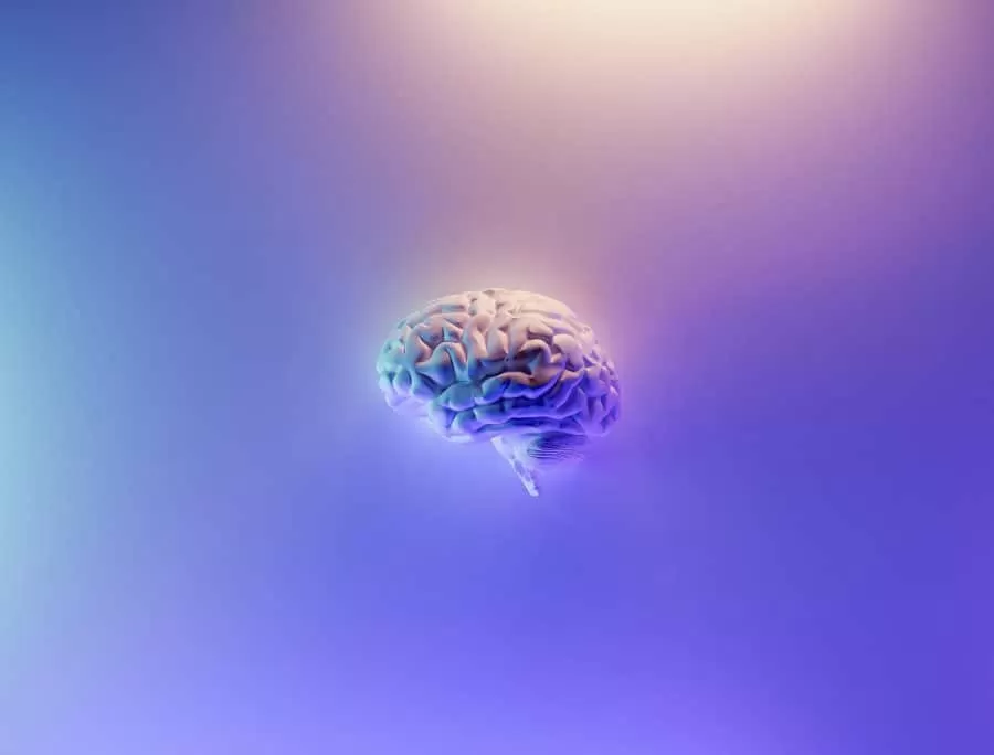 Your Brain Benefits From Workouts Too!