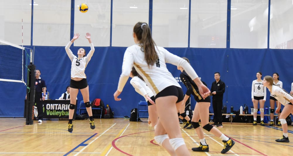 Ankle Injuries Prevention in Volleyball Players