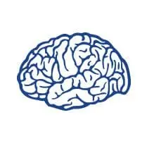 Concussion Management Oakville Burlington