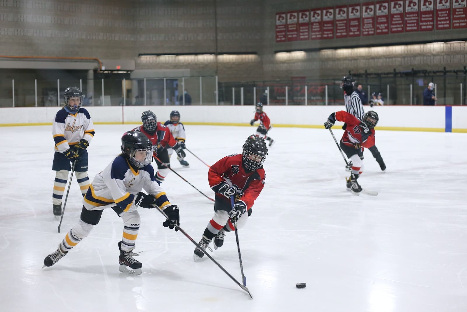 “Groin Pulls” in Ice Hockey Players