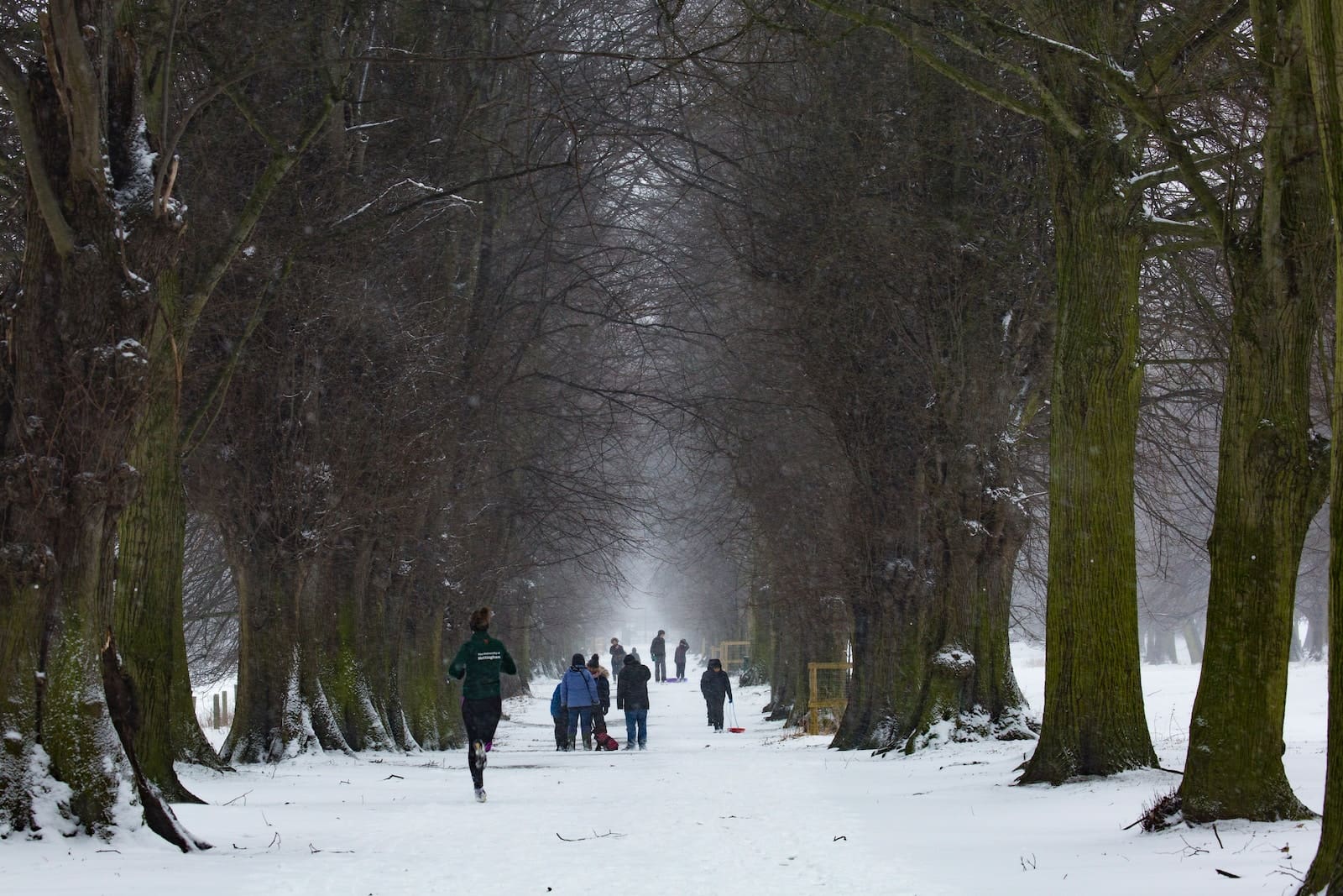 Fitness Fridays | Safe Approach to Cold Weather Exercise | Sheddon