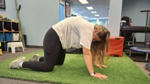 Oakville cat pose — rounded back