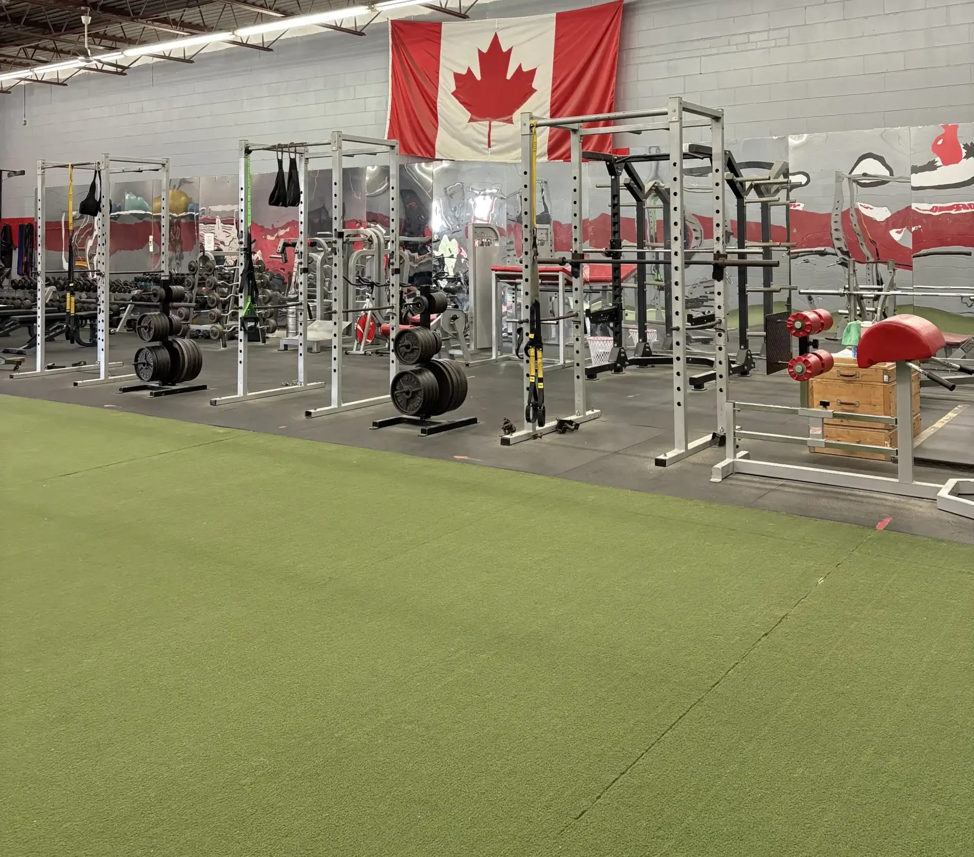 We’re Growing! Meet the Expanded Sports Medicine Team at Oakville Athletic Academy