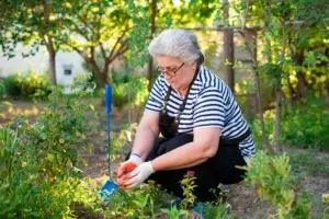Gardening Safety Tips for Spring in Oakville Gardening Safety Tips for Spring in Oakville