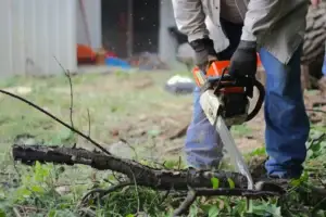 Landscaping Tips to Prevent Injuries in Oakville Landscaping Tips to Prevent Injuries in Oakville