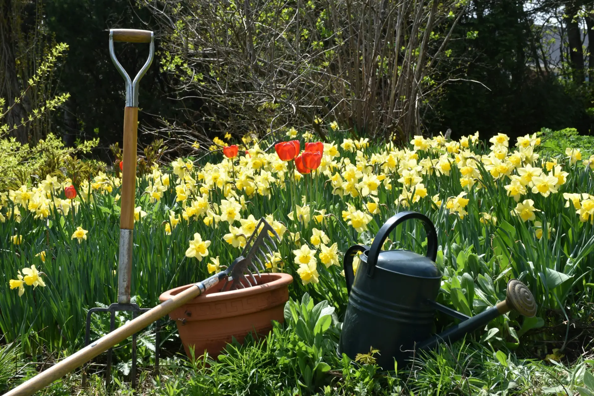 Spring in Oakville: How to Avoid Gardening, Cottage and Yardwork Injuries This Long Weekend