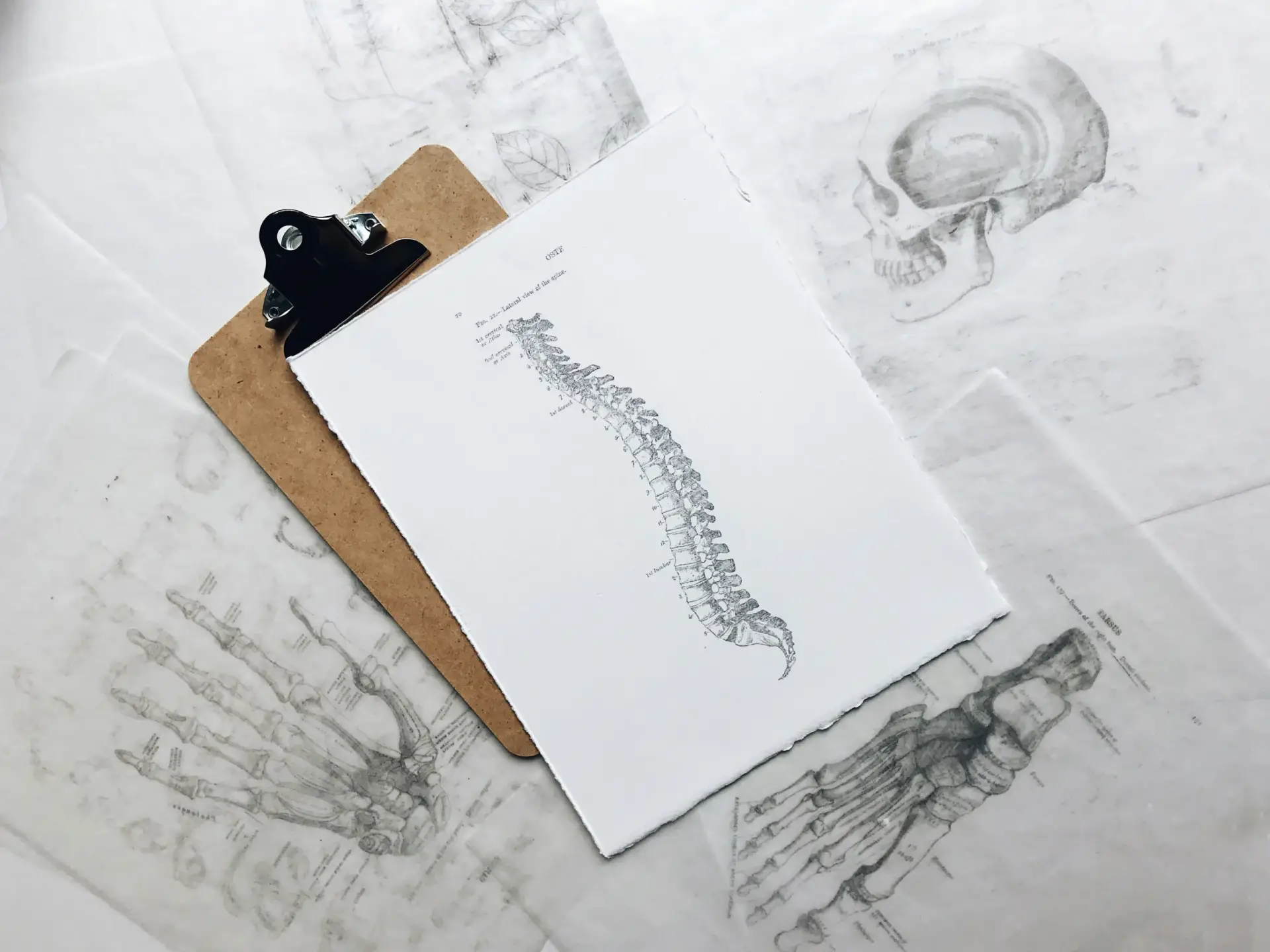 Chiropractic Care for Back Pain and Sports Injuries, Oakville