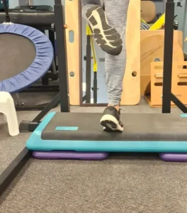calf raises